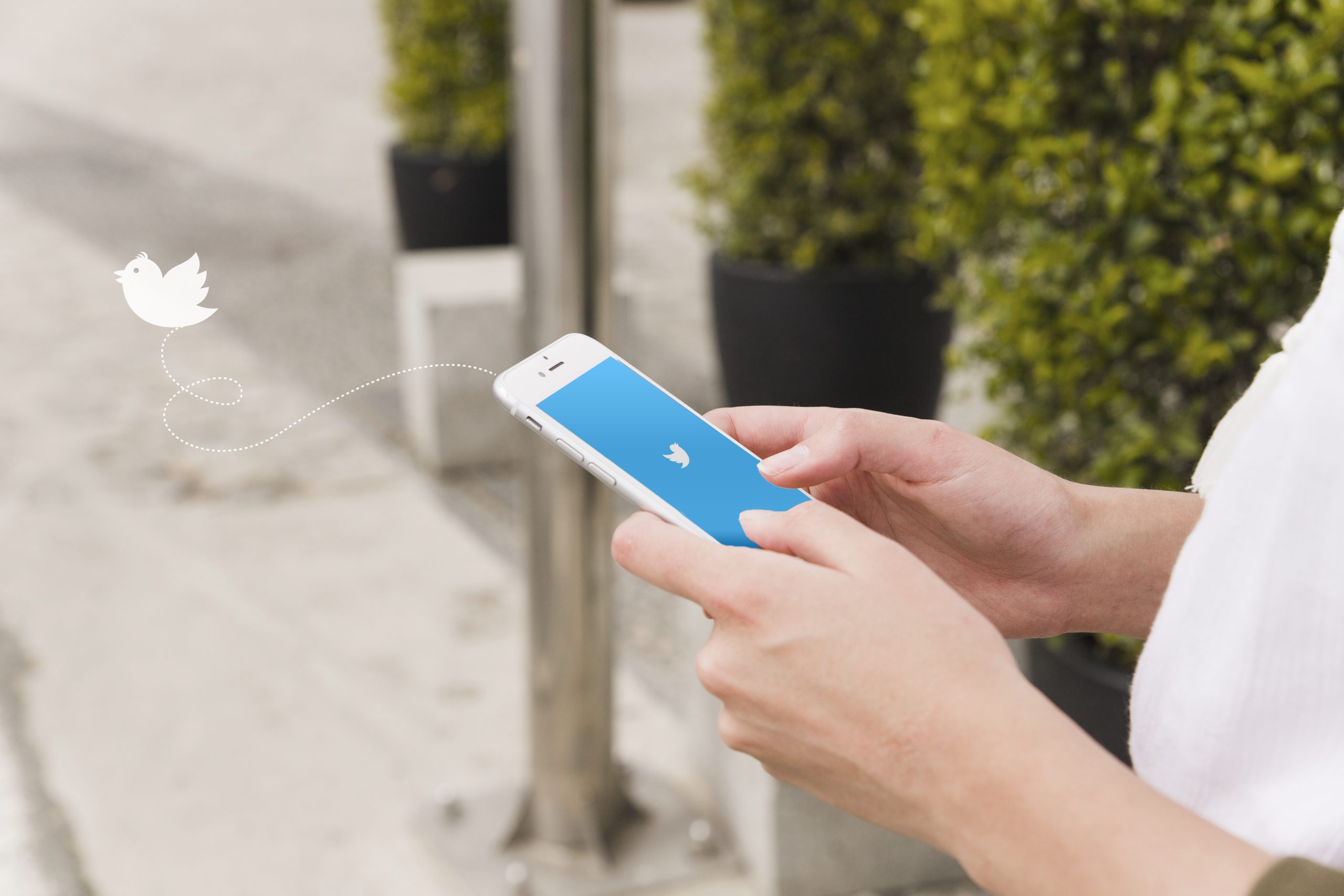 how to make a gif on twitter